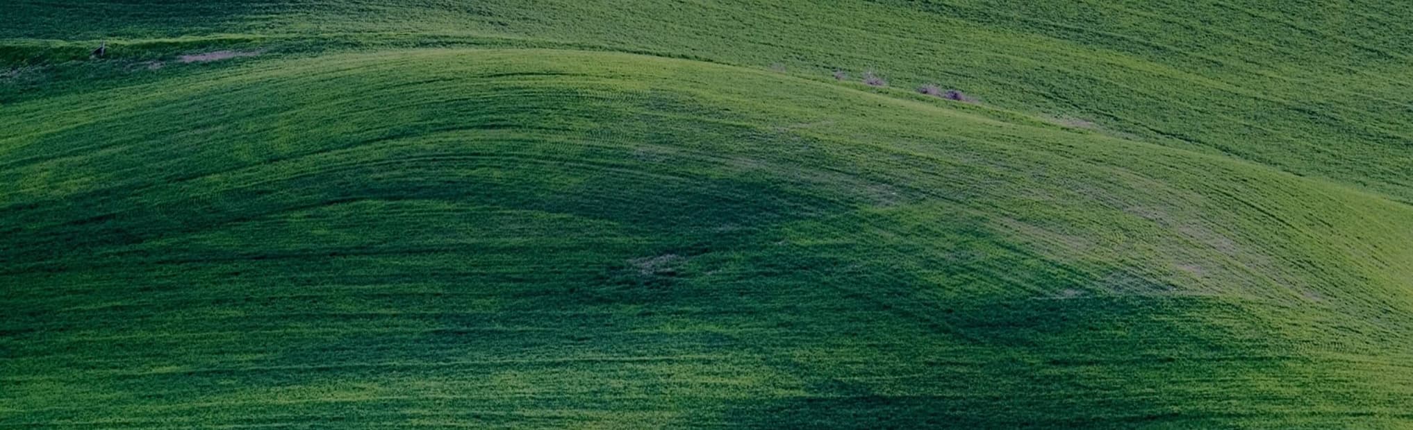 Social Responsibilty